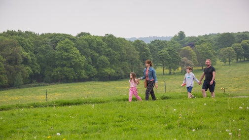 A fmaily walking across a field of long grass and dandelions at Nostell with woodland in the distance